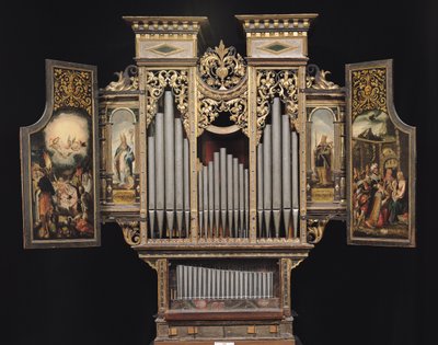 Açık panelli koro organı (ahşap ve metal) by German School