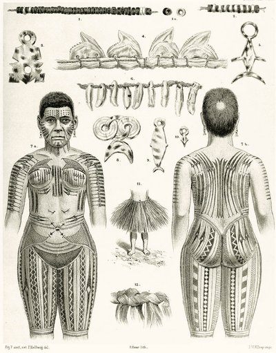 Polinezya takılarını, süslerini ve dövme tasarımlarını gösteren diyagram, 1888 by German School