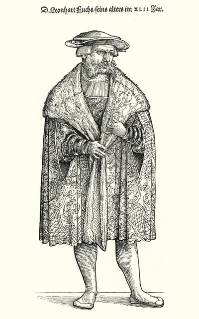 Dr Leonhart Fuchs, Alman doktor, botanikçi ve Tübingen Üniversitesi