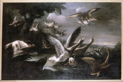Kartal, Yaban Kazları ve Köpekler by German School