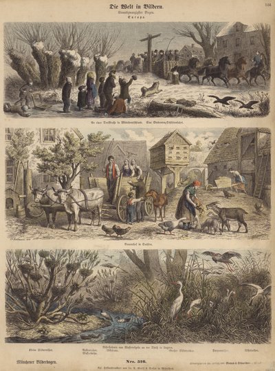 Avrupa (renkli gravür) by German School