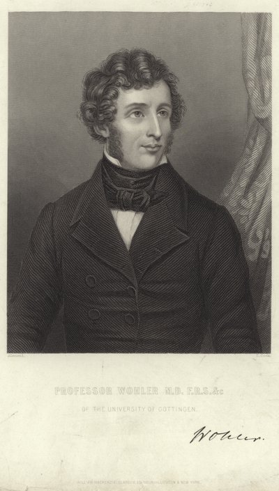 Friedrich Woehler by German School