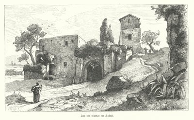 Sallust Bahçeleri, Roma (gravür) by German School