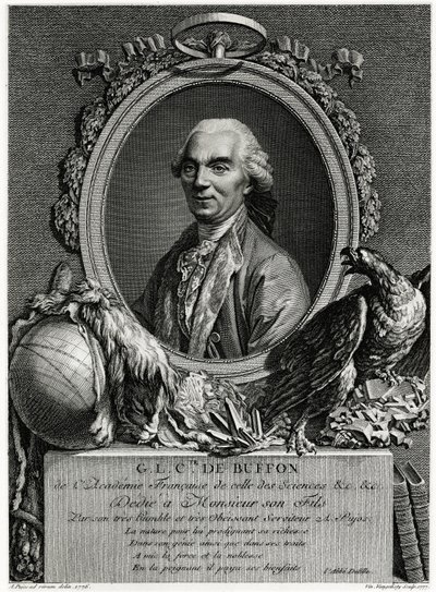 George Louis Leclerc Buffon Kontu by German School