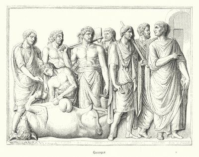 Haruspex, antik Roma