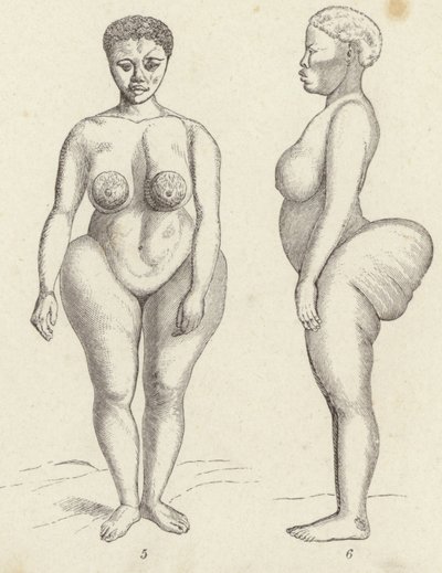 Hottentot Venüs (gravür) by German School