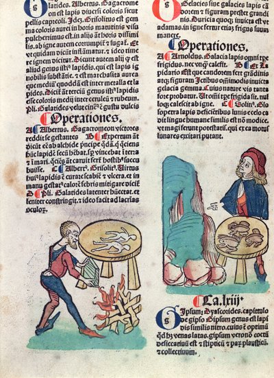 Hortus Sanitatis