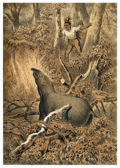 İllüstrasyon, Amazon ormanlarında Hintli tapir avı. “” De Bootslieden der Amazon-River”da, Karl Muller, Hollanda by German School