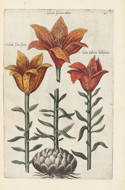 "Florilegium