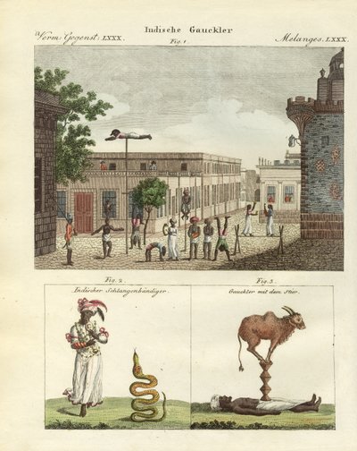 Hint bateleurs (renkli gravür) by German School