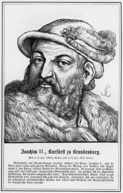 Joachim II, Brandenburg Seçmeni (gravür) by German School