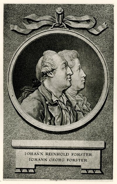 Johann George Forster by German School