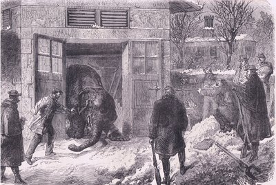 Jardin D'Acclimation'da yemek için bir fili öldürmek, Cassell ve Company Limited tarafından yayınlanan Cassells History of the War of France and Germany, c.1890 (litho) by German School