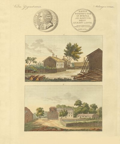 Linne'nin daireleri (renkli gravür) by German School