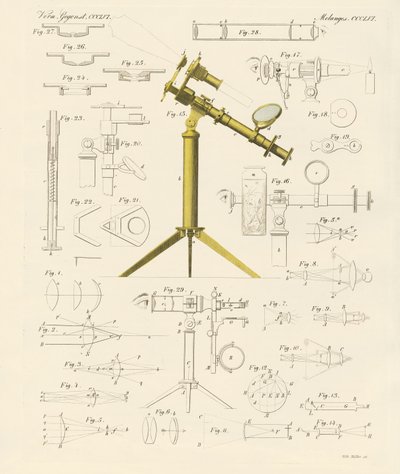 Büyüteç ve mikroskobik eğlenceler (renkli gravür) by German School