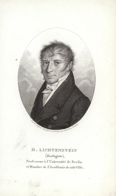Martin Lihtenştayn by German School