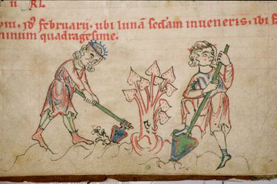 Ms 54 f.37 Şubat: Çapalama, Sistersiyen Mezmurları (vellum) by German School