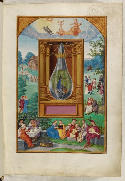 Ms Harley 3469, f.28 Tavus Kuşu Kuyruğu, Dördüncü İnceleme, Salomon Trismosin