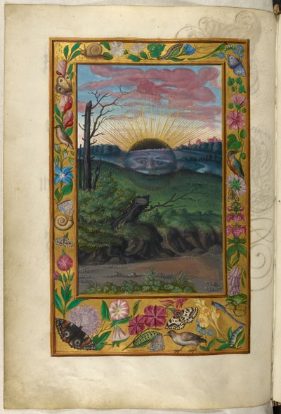 Ms Harley 3469, f.30v Karanlık Güneş, Beşinci İnceleme, Salomon Trismosin