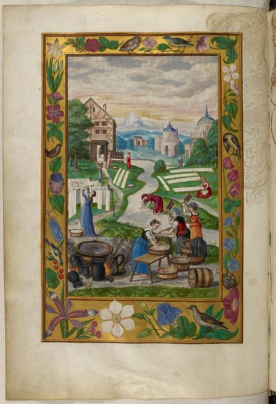 Ms Harley 3469, f.32v Çamaşır yıkayan kadınlar, Salomon Trismosin