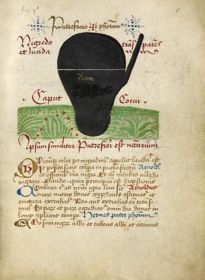 Ms Sloane 2560, Simya İncelemelerinden f.8, 15. yüzyılın sonları (parşömen) by German School