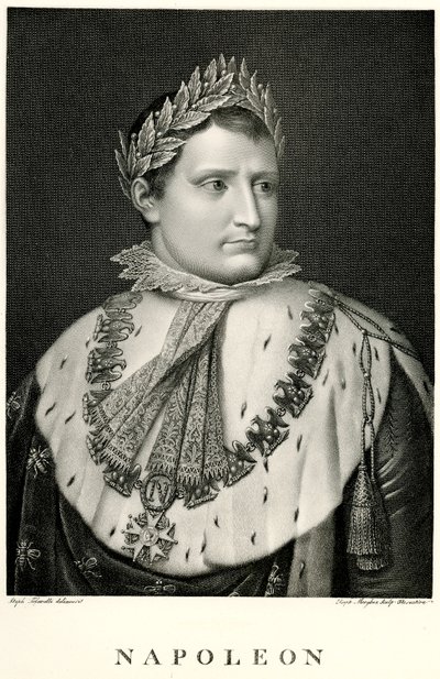 Napolyon I., 1884-90 (fototip) by German School