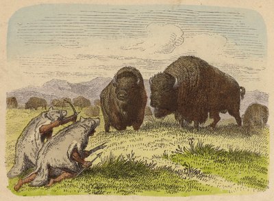 Bufalo avlayan kurt postu giyen Kızılderililer (renkli gravür) by German School