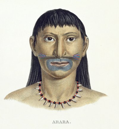 Arara kabilesinin yerli adamı, Johann Baptist von Spix (1781-1826) ve Karl Friedrich Philipp Martius (1794-1868) tarafından Brezilya