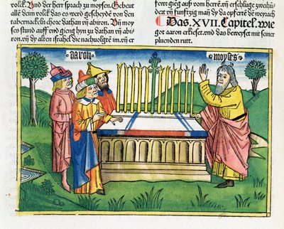 Sayılar 17 1-11 Nürnberg İncil