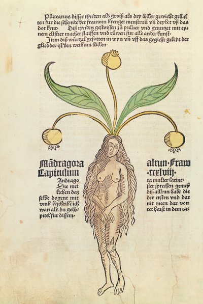 Basılı bir kitaptan sayfa by German School