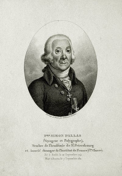Peter Simon Pallas