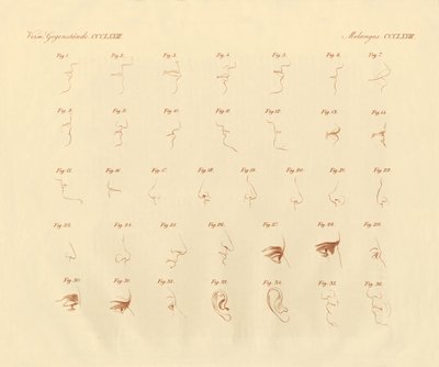 Duyu organı ve bağlantılı kısımların fizyonomik anlatımı (renkli gravür) by German School