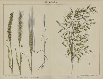 Bitkiler (renkli taş) by German School