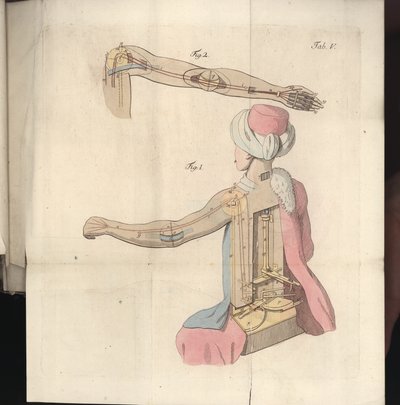 Levha V, Herr von Kempelen