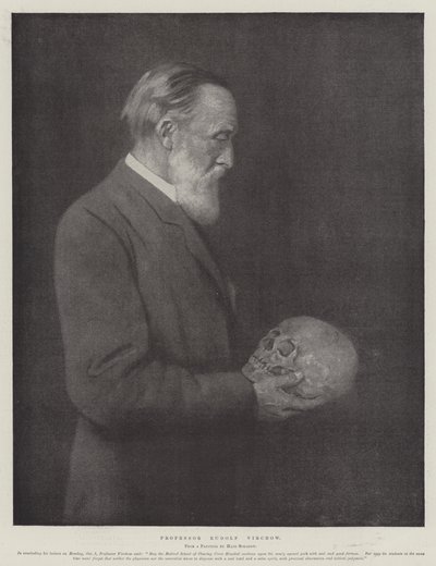 Profesör Rudolf Virchow (taş) by German School