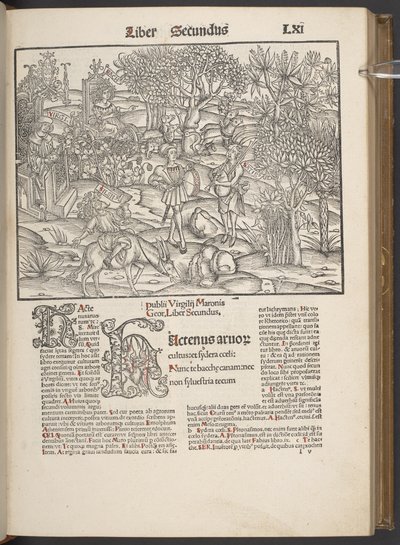 Publius Virgilius Maronis