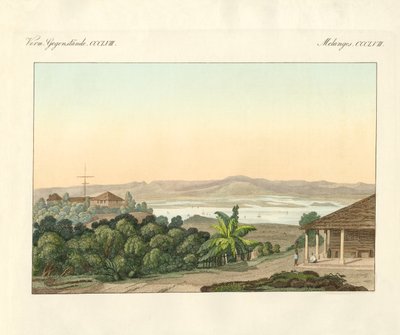 Pulu Penang (renkli gravür) by German School