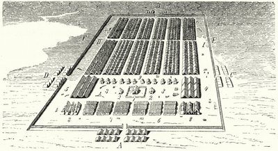 Roma ordusu kampı (gravür) by German School