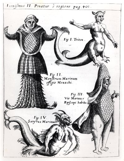 Deniz canavarları, Physica Curiosa