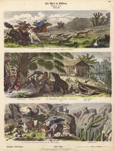 Güney Amerika (renkli gravür) by German School