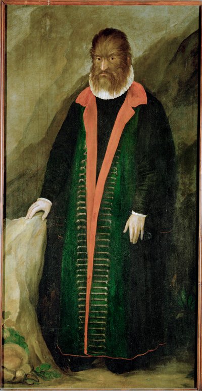 Kıllı Adam, Petrus Gonzalvus, 1556