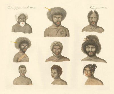Papualar (renkli gravür) by German School