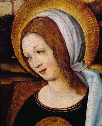 Bakire Mary by German School