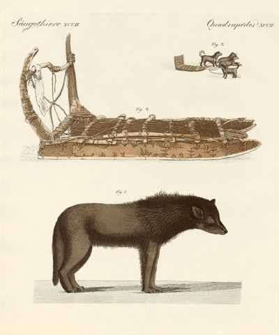 Baffin Körfezi