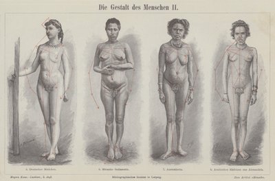 İnsan figürü (gravür) by German School