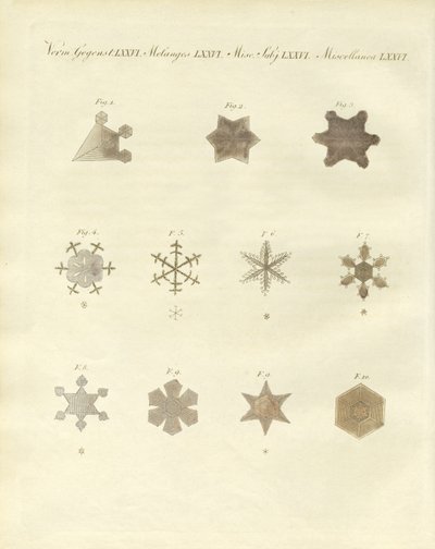 Kristalleşmeleriyle kar (renkli gravür) by German School