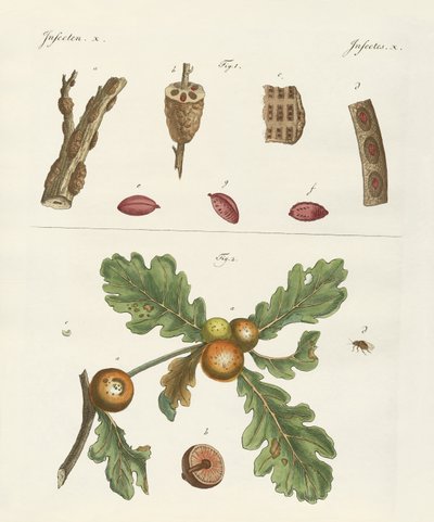 faydalı böcekler by German School