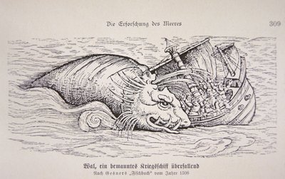 Bir gemiye saldıran balina by German School