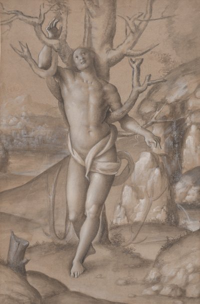 Aziz Sebastian, yaklaşık 1524. by Gerolamo Giovenone