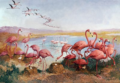  by Gerritt Vandersyde